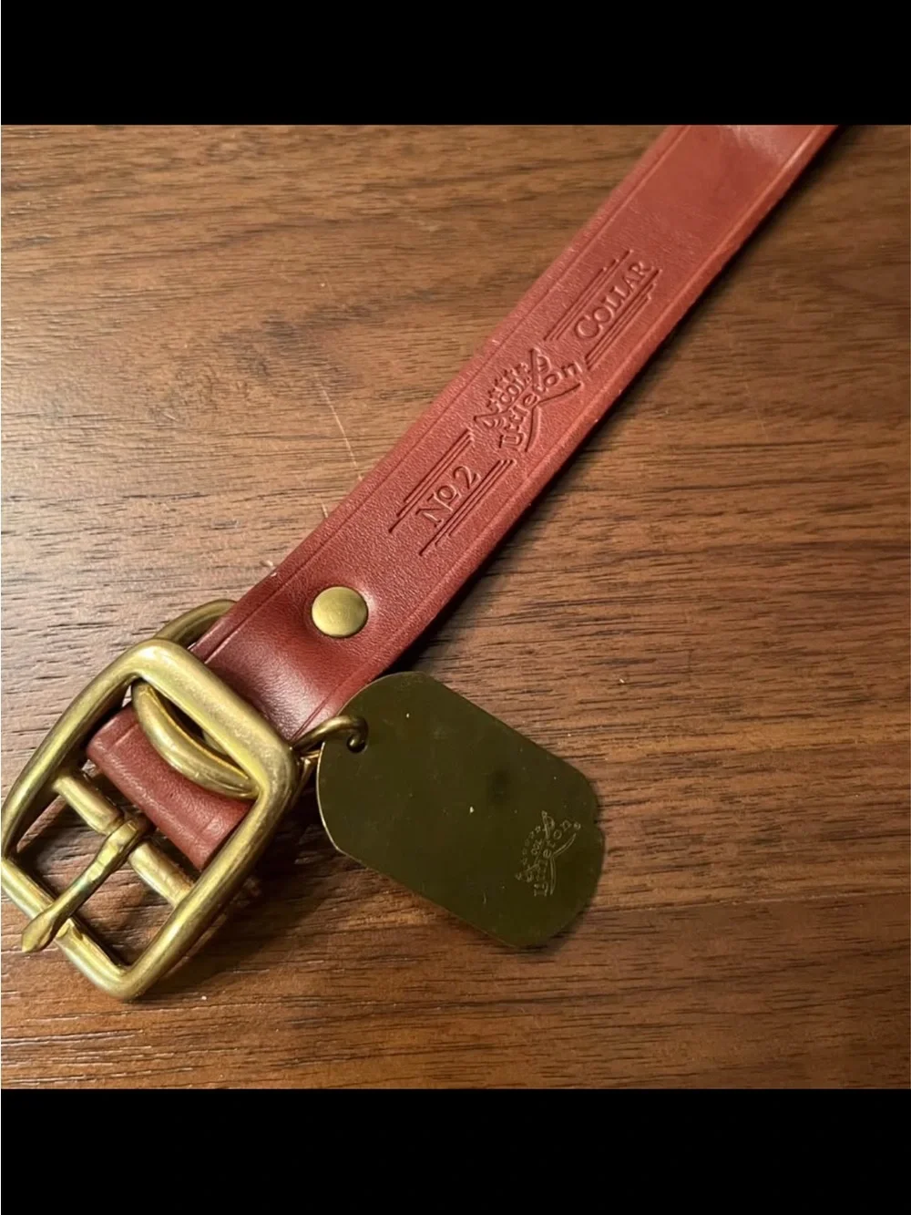 Leather & Brass Collar